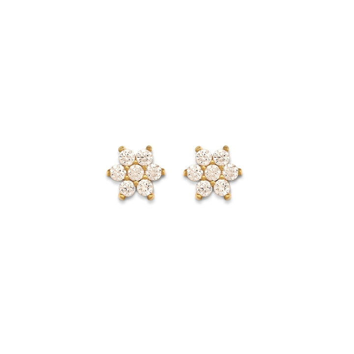 Celosia CZ Flower Stud