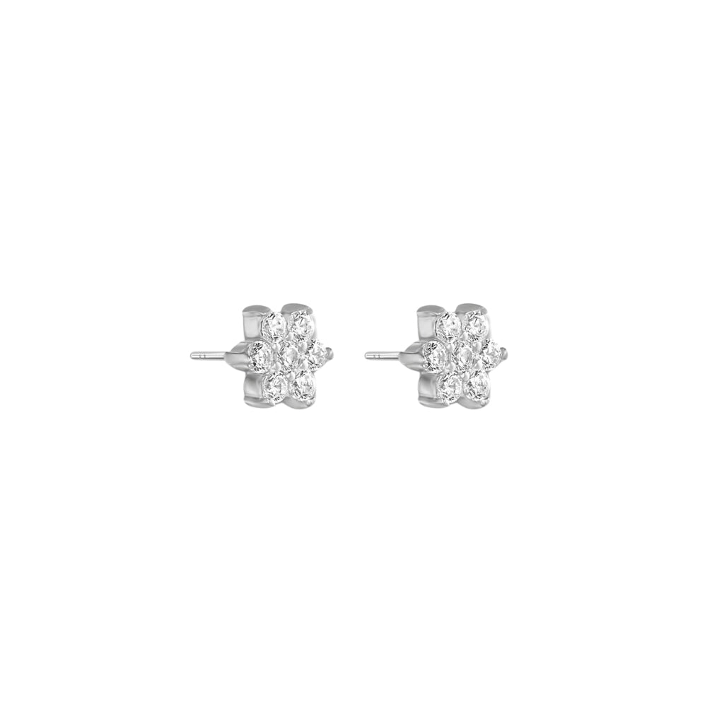 Celosia CZ Flower Stud